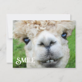 Het glimlachen van Alpaca Llama Funny Boerderij An Briefkaart