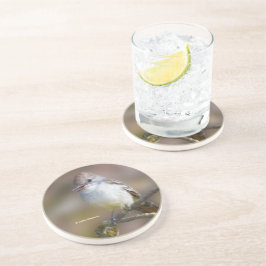 Het glimlachen van Ash-Throated Flycatcher op de T Zandsteen Onderzetter