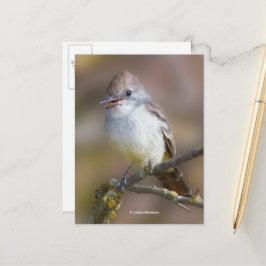 Het glimlachen van ash-Throated Flycatcher Songbir Briefkaart