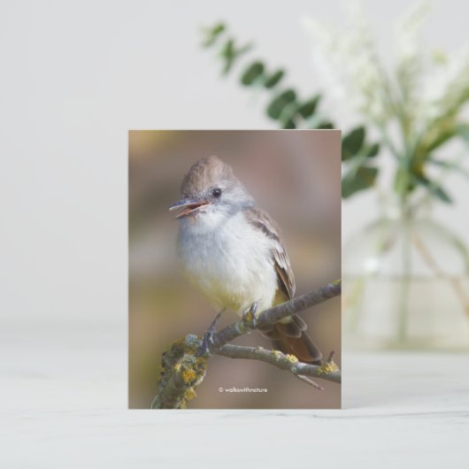 Het glimlachen van ash-Throated Flycatcher Songbir Briefkaart (Staand voorkant)