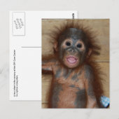 Het glimlachen van Baby Orangutan in Diapers Borne Briefkaart (Voorkant / Achterkant)