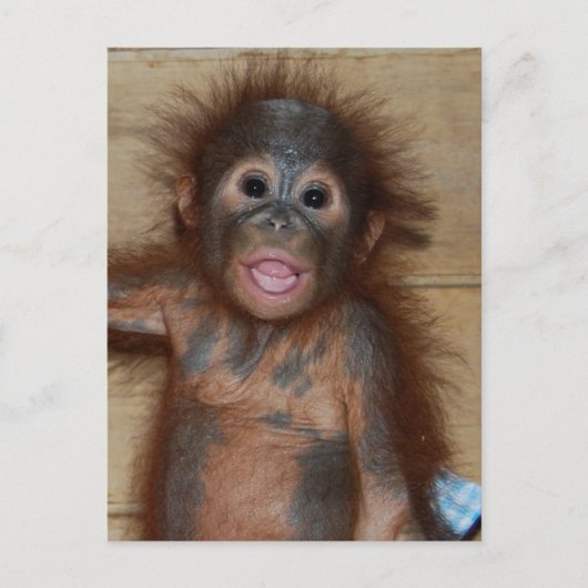 Het glimlachen van Baby Orangutan in Diapers Borne Briefkaart (Voorkant)