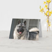 Het glimlachen van Bergen Kaart (Gele Bloem)