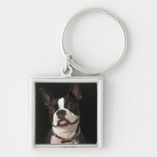 Het glimlachen van Boston terrer met een halsband Sleutelhanger