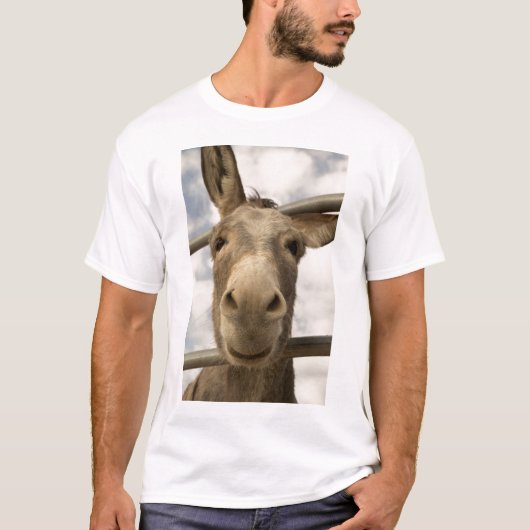 Het glimlachen van Burro T-Shirt (Voorkant)