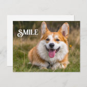Het glimlachen van Corgi Dog Funny Animal Smile Briefkaart (Voorkant / Achterkant)
