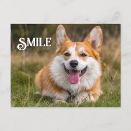 Het glimlachen van Corgi Dog Funny Animal Smile Briefkaart
