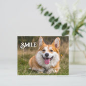 Het glimlachen van Corgi Dog Funny Animal Smile Briefkaart (Staand voorkant)