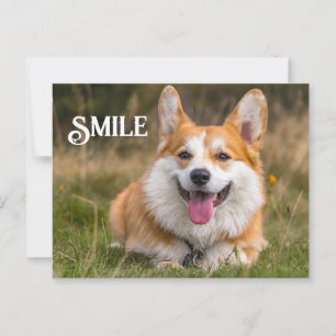 Het glimlachen van Corgi Dog Funny Animal Smile Briefkaart