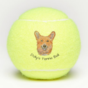 Het glimlachen van Corgi Penn Tennis Balls Tennisballen