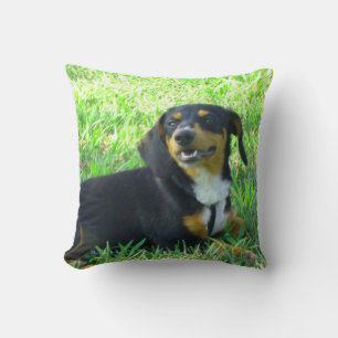 Het glimlachen van Dachshund Forest Green Sierkuss Kussen