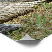 Het glimlachen van de alligator die van je houdt,  poster (Hoek)