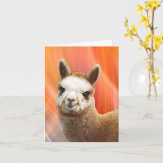 Het Glimlachen van de alpaca de Kaarten van de (Gele Bloem)