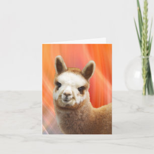 Het Glimlachen van de alpaca de Kaarten van de