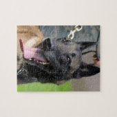 Het glimlachen van de Belgische Malinois Dog Legpuzzel (Horizontaal)
