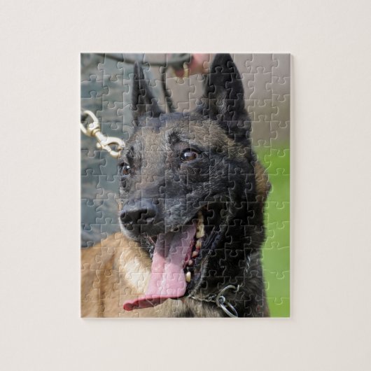 Het glimlachen van de Belgische Malinois Dog Legpuzzel (Verticaal)