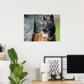Het glimlachen van de Belgische Malinois Dog Poster (Thuiskantoor)