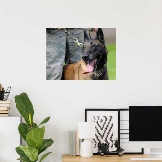 Het glimlachen van de Belgische Malinois Dog Poster (Thuiskantoor)