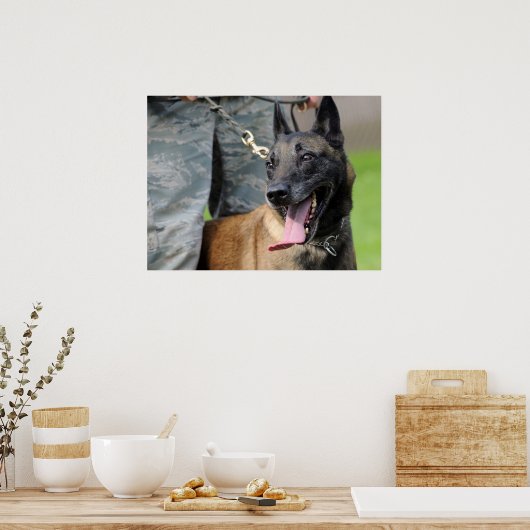 Het glimlachen van de Belgische Malinois Dog Poster (Keuken)