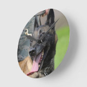 Het glimlachen van de Belgische Malinois Dog Ronde Klok (Hoek)