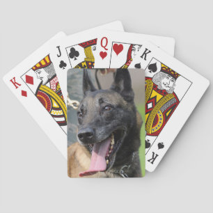 Het glimlachen van de Belgische Malinois Dog Speelkaarten