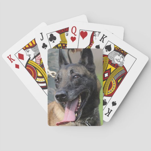 Het glimlachen van de Belgische Malinois Dog Speelkaarten (Achterkant)