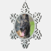 Het glimlachen van de Belgische Malinois Dog Tin Sneeuwvlok Ornament (Rechts)
