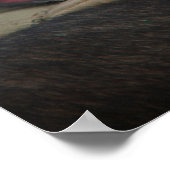 Het glimlachen van de Duitse militaire hond Shephe Poster (Hoek)