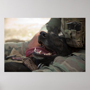 Het glimlachen van de Duitse militaire hond Shephe Poster