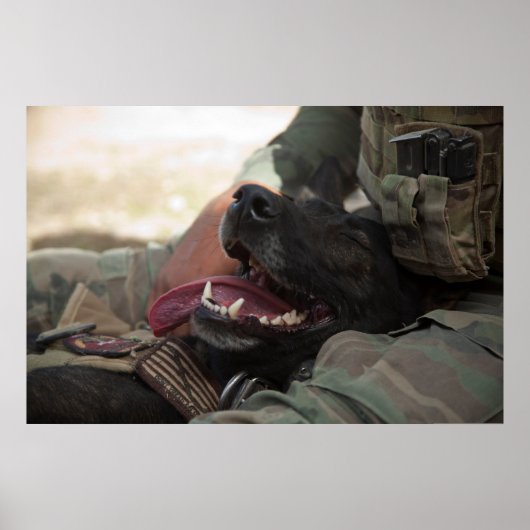 Het glimlachen van de Duitse militaire hond Shephe Poster (Voorkant)