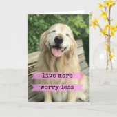 Het glimlachen van de gouden hond leeft nog zorgwe kaart (Gele Bloem)