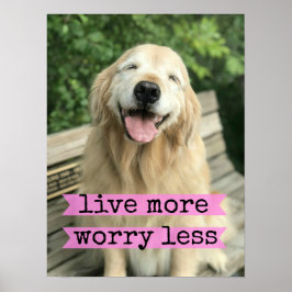 Het glimlachen van de gouden hond leeft nog zorgwe poster