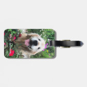 Het glimlachen van de gouden riever onder de bloem bagagelabel (Achterkant horizontaal)