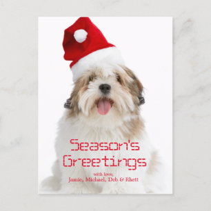 Het glimlachen van de Hond die van Lhasa Apso het Feestdagenkaart