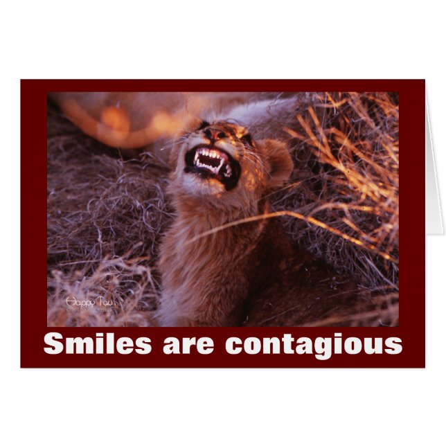 Het glimlachen van de leeuwenkap is besmettelijk (Voorkant Horizontaal)