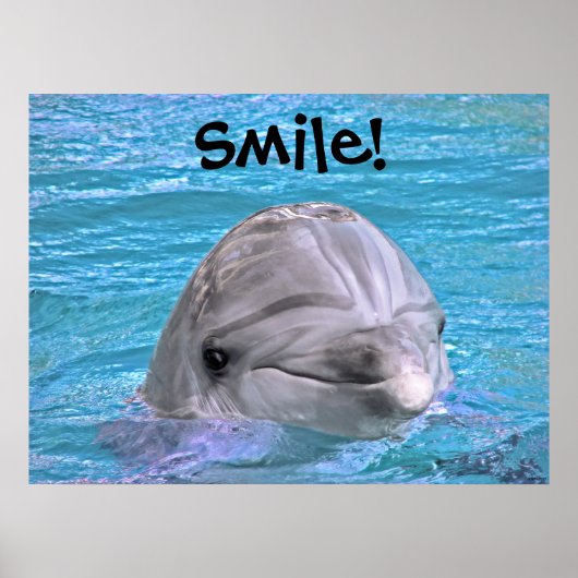 Het glimlachen van Dolphin - Lach! Poster (Voorkant)