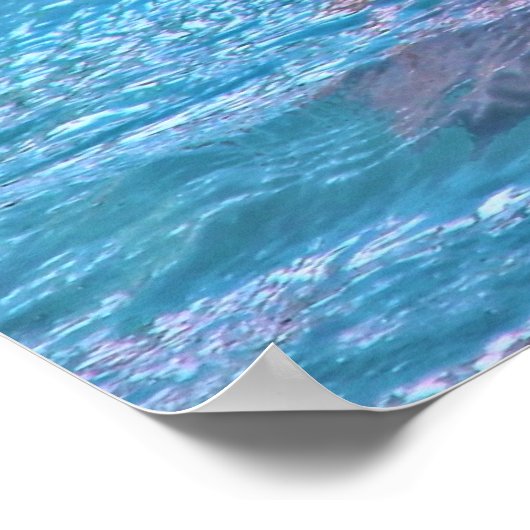 Het glimlachen van Dolphin - Lach! Poster (Hoek)