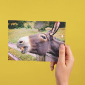 Het glimlachen van Donkey in een weide Briefkaart