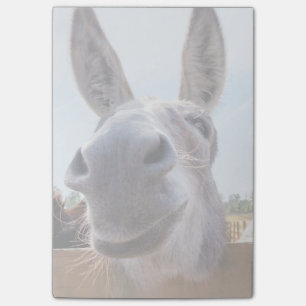 Het glimlachen van Donkey Post-It Notes