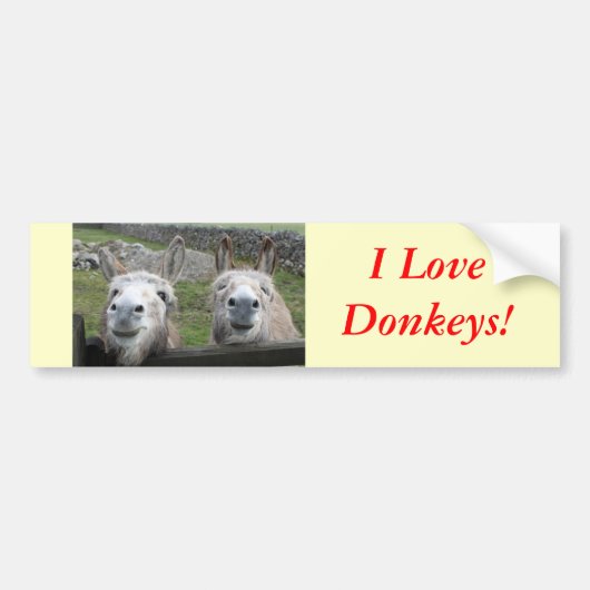 Het glimlachen van Donkeys! Bumpersticker (Voorkant)
