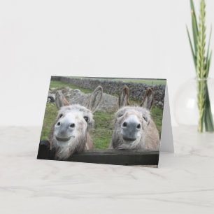 Het glimlachen van Donkeys! Kaart