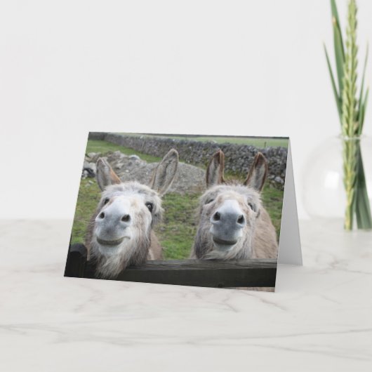 Het glimlachen van Donkeys! Kaart (Voorkant)