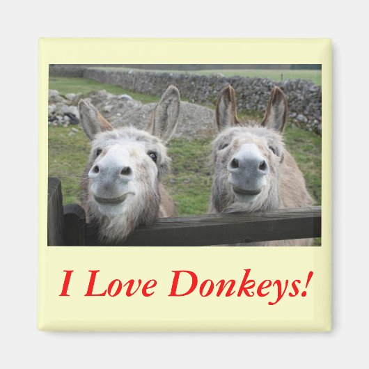 Het glimlachen van Donkeys! Magneet (Voorkant)