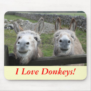 Het glimlachen van Donkeys! Muismat