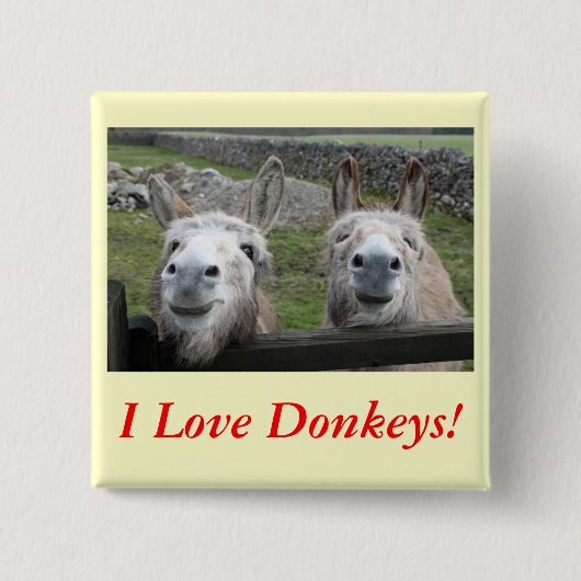 Het glimlachen van Donkeys! Vierkante Button 5,1 Cm (Voorkant)