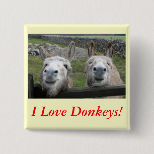 Het glimlachen van Donkeys! Vierkante Button 5,1 Cm