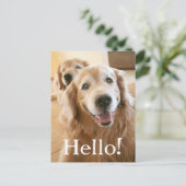 Het glimlachen van Golden Retriever Hallo Briefkaart (Staand voorkant)