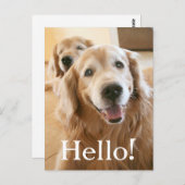 Het glimlachen van Golden Retriever Hallo Briefkaart (Voorkant / Achterkant)