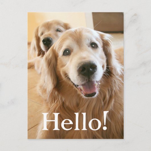 Het glimlachen van Golden Retriever Hallo Briefkaart (Voorkant)