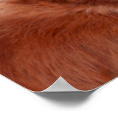 Het glimlachen van Golden Retriever in Pet Poster (Hoek)